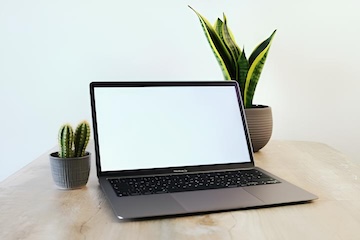 laptop open with green plants on desk